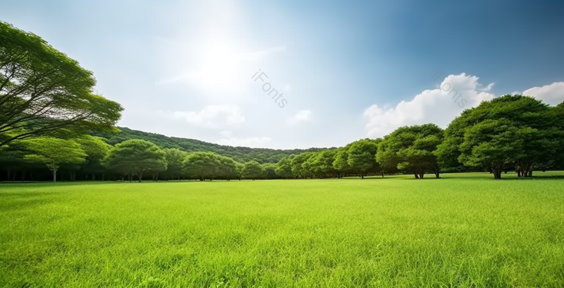 绿色春天树林茂密草坪草地风景背景,高清,摄影图,摄影图片,图片大全,摄影图免费下载